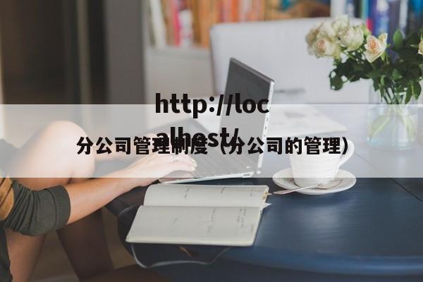 分公司管理制度（分公司的管理）